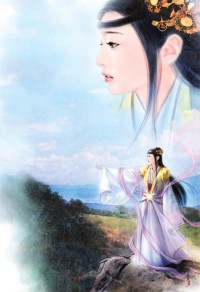 北宋贼行天下